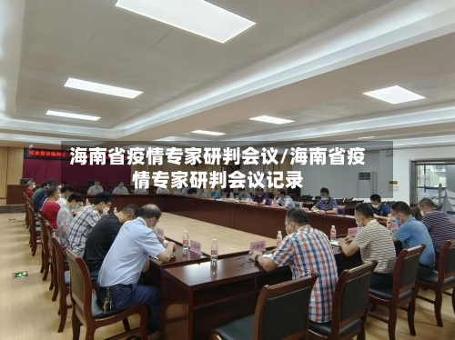 海南省疫情专家研判会议/海南省疫情专家研判会议记录-第2张图片