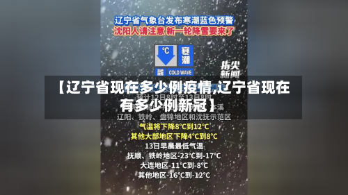 【辽宁省现在多少例疫情,辽宁省现在有多少例新冠】-第2张图片