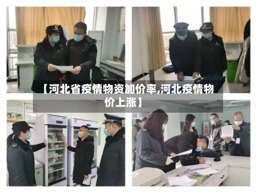【河北省疫情物资加价率,河北疫情物价上涨】-第3张图片