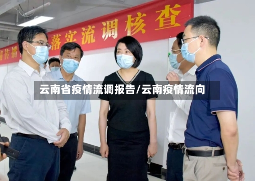 云南省疫情流调报告/云南疫情流向-第3张图片