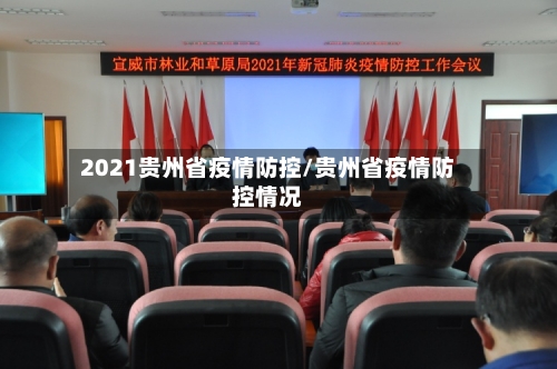 2021贵州省疫情防控/贵州省疫情防控情况-第1张图片