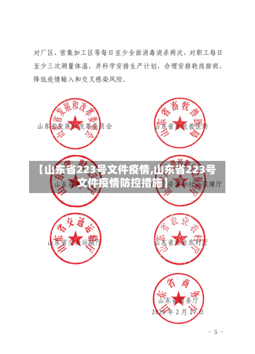 【山东省223号文件疫情,山东省223号文件疫情防控措施】-第3张图片