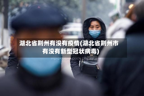 湖北省荆州有没有疫情(湖北省荆州市有没有新型冠状病毒)-第3张图片