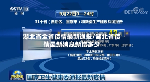 湖北省全省疫情最新通报/湖北省疫情最新消息新增多少-第2张图片