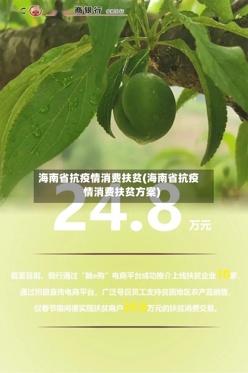 海南省抗疫情消费扶贫(海南省抗疫情消费扶贫方案)-第3张图片