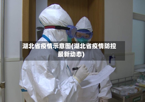 湖北省疫情示意图(湖北省疫情防控最新动态)-第1张图片