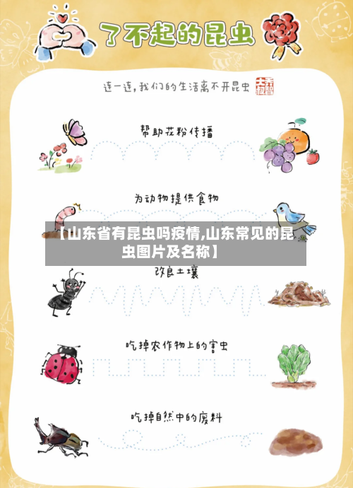 【山东省有昆虫吗疫情,山东常见的昆虫图片及名称】-第2张图片