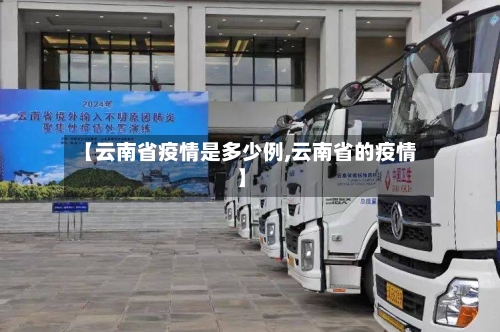 【云南省疫情是多少例,云南省的疫情】-第2张图片