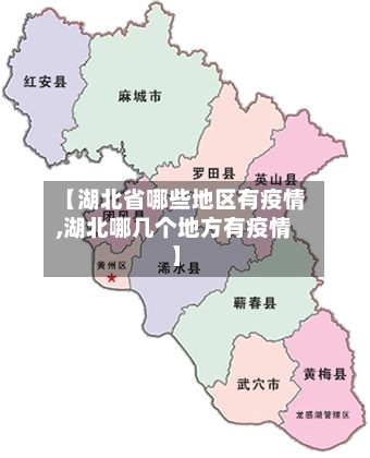 【湖北省哪些地区有疫情,湖北哪几个地方有疫情】-第3张图片