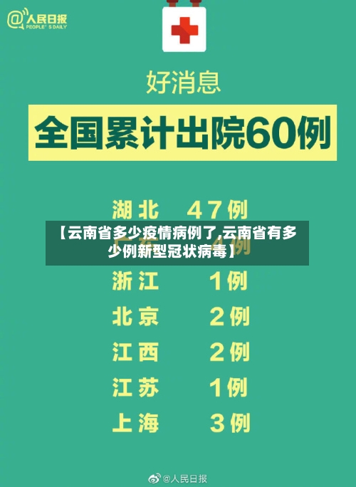 【云南省多少疫情病例了,云南省有多少例新型冠状病毒】-第3张图片
