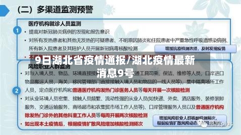 9日湖北省疫情通报/湖北疫情最新消息9号-第2张图片