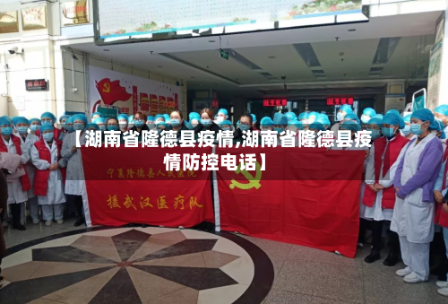 【湖南省隆德县疫情,湖南省隆德县疫情防控电话】-第1张图片