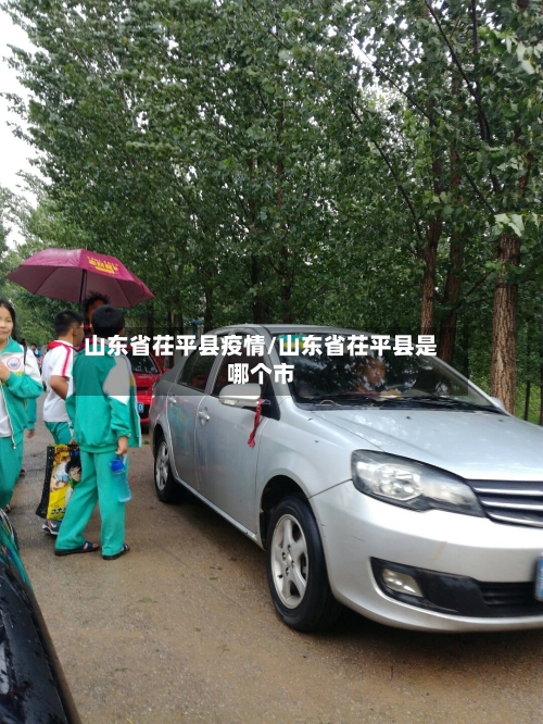 山东省茌平县疫情/山东省茌平县是哪个市-第1张图片