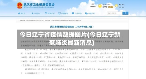 今日辽宁省疫情数据图片(今日辽宁新冠肺炎最新消息)-第3张图片