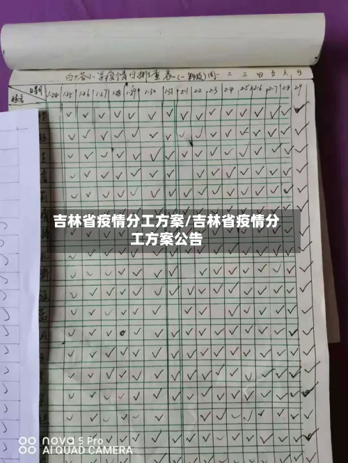 吉林省疫情分工方案/吉林省疫情分工方案公告-第2张图片