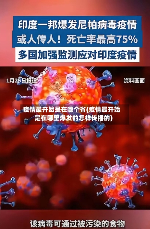 疫情最开始是在哪个省(疫情最开始是在哪里爆发的怎样传播的)-第1张图片