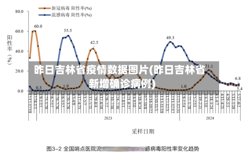 昨日吉林省疫情数据图片(昨日吉林省新增确诊病例)-第3张图片