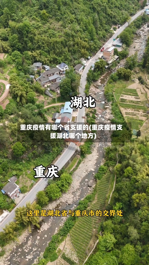 重庆疫情有哪个省支援的(重庆疫情支援湖北哪个地方)-第1张图片