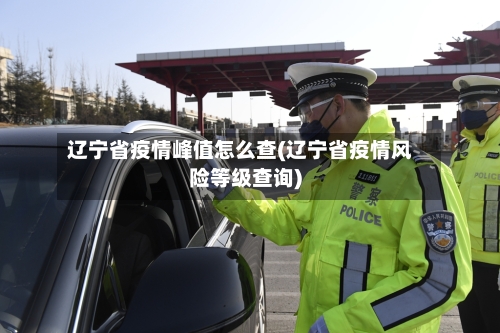 辽宁省疫情峰值怎么查(辽宁省疫情风险等级查询)-第3张图片