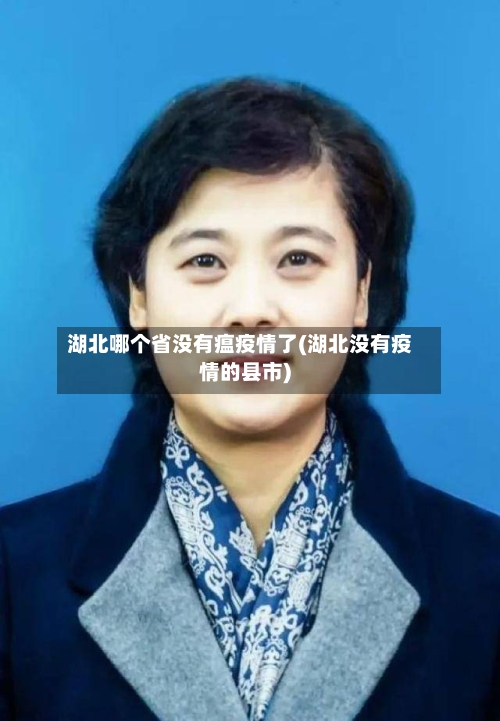湖北哪个省没有瘟疫情了(湖北没有疫情的县市)-第1张图片