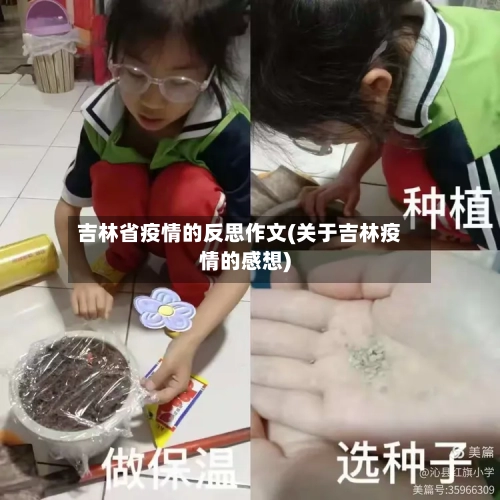 吉林省疫情的反思作文(关于吉林疫情的感想)-第1张图片