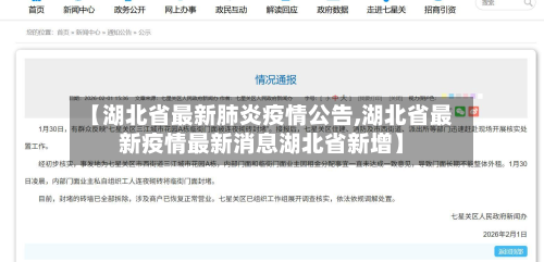 【湖北省最新肺炎疫情公告,湖北省最新疫情最新消息湖北省新增】-第1张图片