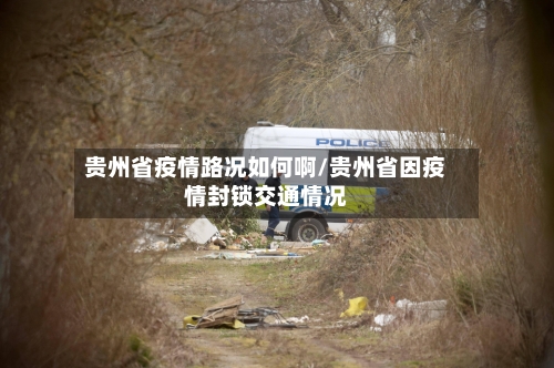 贵州省疫情路况如何啊/贵州省因疫情封锁交通情况-第2张图片