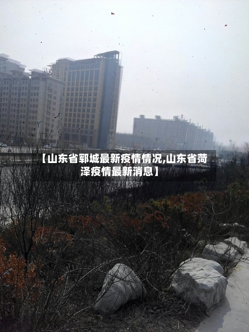 【山东省郓城最新疫情情况,山东省菏泽疫情最新消息】-第2张图片