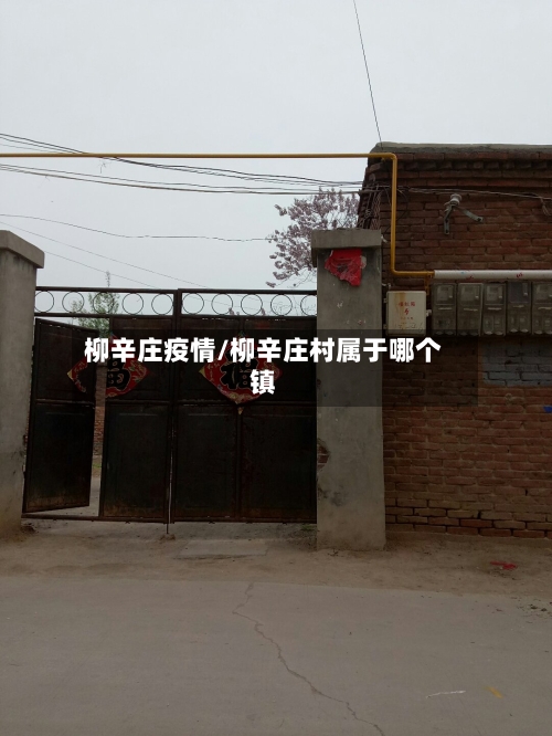 柳辛庄疫情/柳辛庄村属于哪个镇-第1张图片