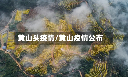 黄山头疫情/黄山疫情公布-第1张图片