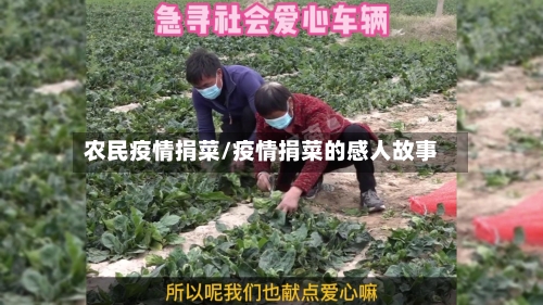 农民疫情捐菜/疫情捐菜的感人故事-第2张图片