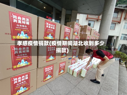 孝感疫情捐款(疫情期间湖北收到多少捐款)-第2张图片