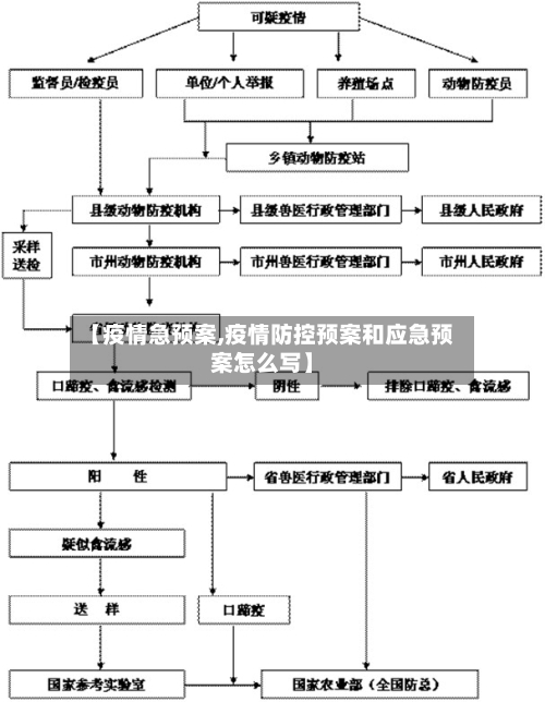【疫情急预案,疫情防控预案和应急预案怎么写】-第3张图片