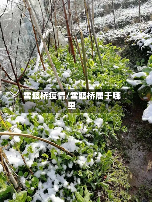 雪堰桥疫情/雪堰桥属于哪里-第1张图片