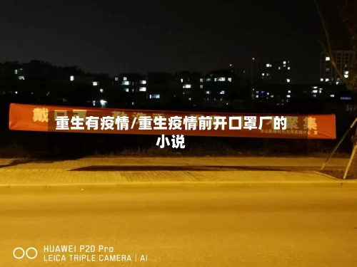 重生有疫情/重生疫情前开口罩厂的小说-第2张图片
