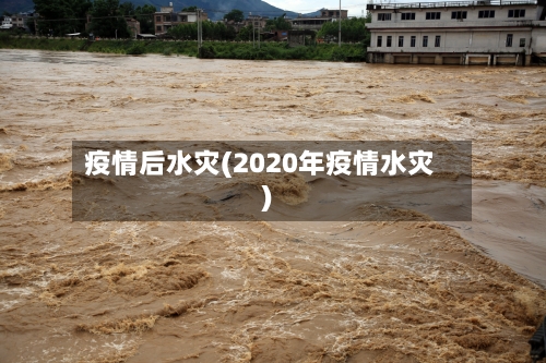 疫情后水灾(2020年疫情水灾)-第1张图片