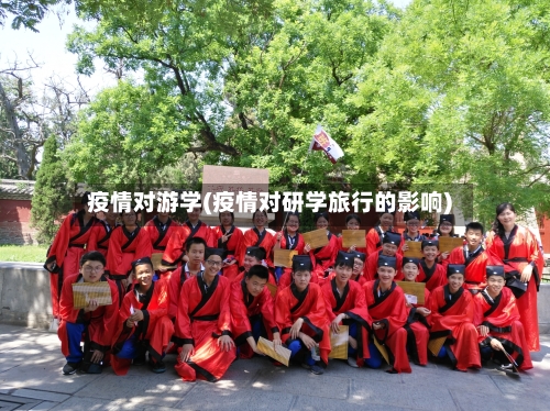 疫情对游学(疫情对研学旅行的影响)-第3张图片