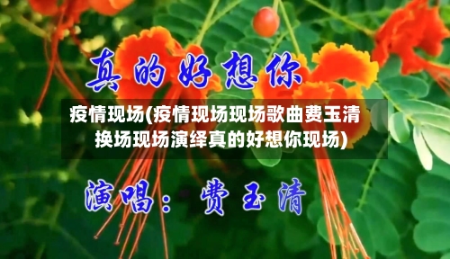 疫情现场(疫情现场现场歌曲费玉清换场现场演绎真的好想你现场)-第1张图片