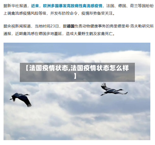 【法国疫情状态,法国疫情状态怎么样】-第2张图片