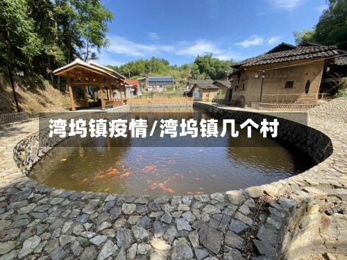 湾坞镇疫情/湾坞镇几个村-第1张图片