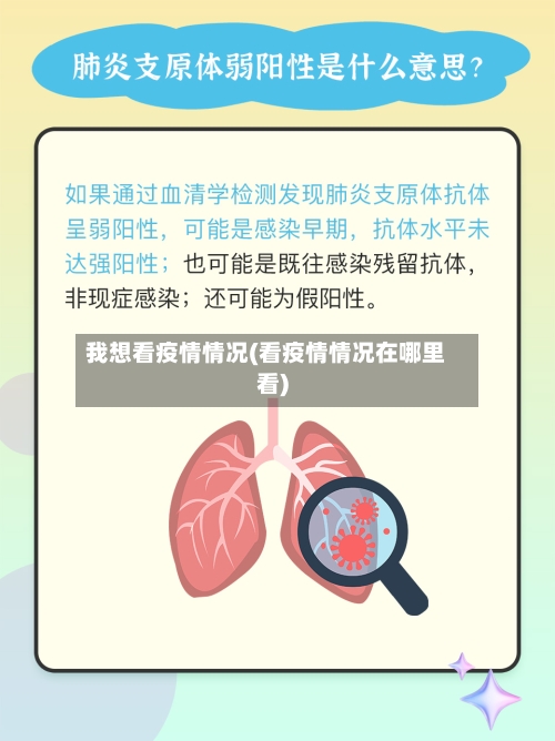 我想看疫情情况(看疫情情况在哪里看)-第2张图片