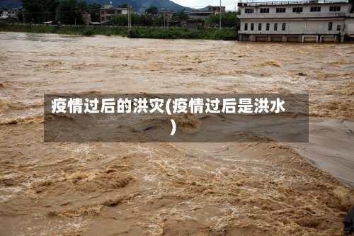 疫情过后的洪灾(疫情过后是洪水)-第1张图片