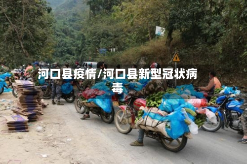 河口县疫情/河口县新型冠状病毒-第1张图片