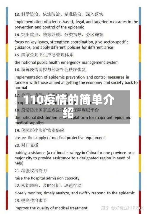 110疫情的简单介绍-第1张图片