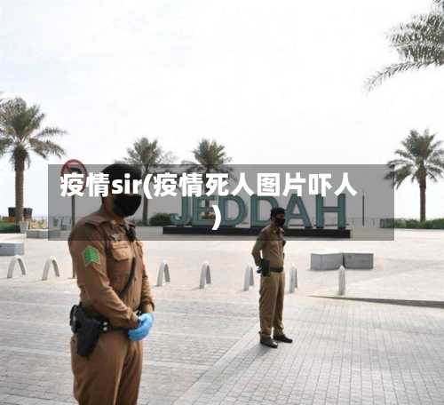 疫情sir(疫情死人图片吓人)-第1张图片