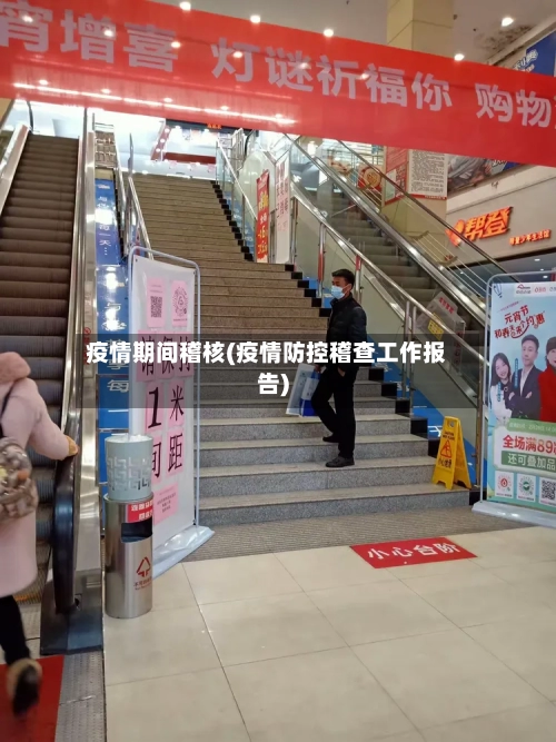 疫情期间稽核(疫情防控稽查工作报告)-第2张图片