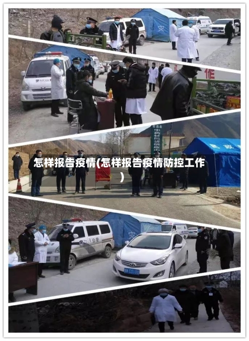 怎样报告疫情(怎样报告疫情防控工作)-第1张图片