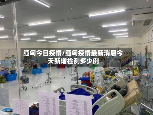 缅甸今日疫情/缅甸疫情最新消息今天新增检测多少例-第1张图片