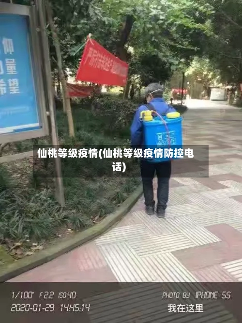 仙桃等级疫情(仙桃等级疫情防控电话)-第3张图片