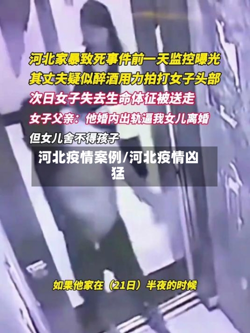 河北疫情案例/河北疫情凶猛-第1张图片